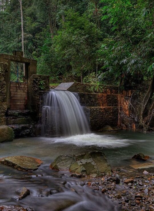 Kubang Pasu