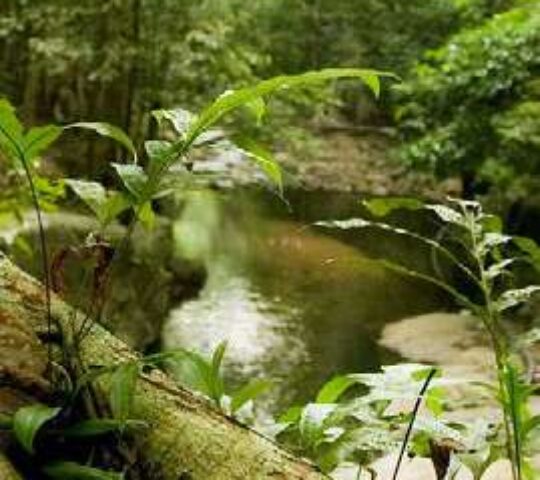 Puncak Janing Waterfall