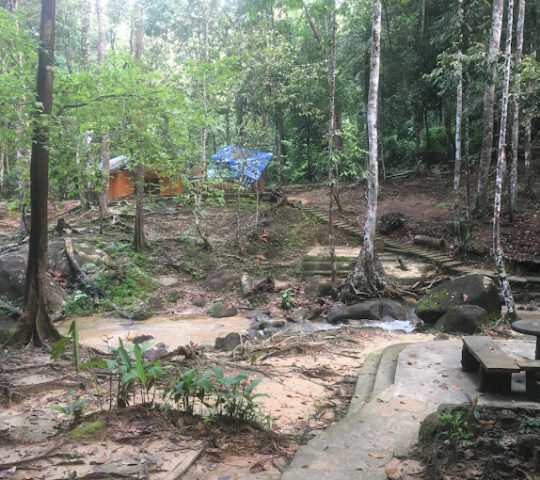 Bukit Perak Recreational Forest