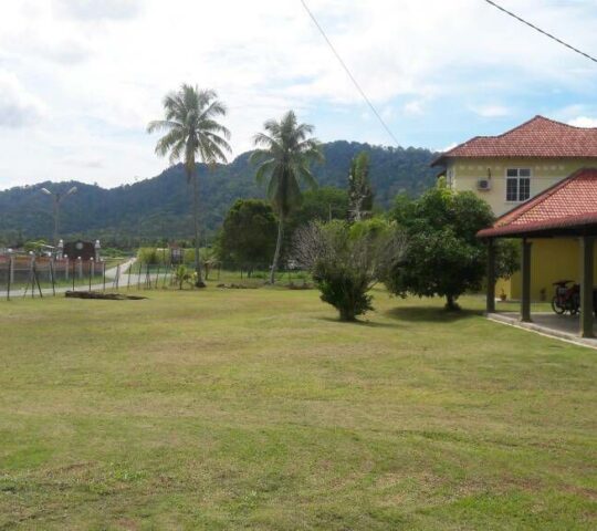 D’Kampong Homestay