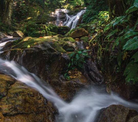 Batu Hampar Recreational Forest