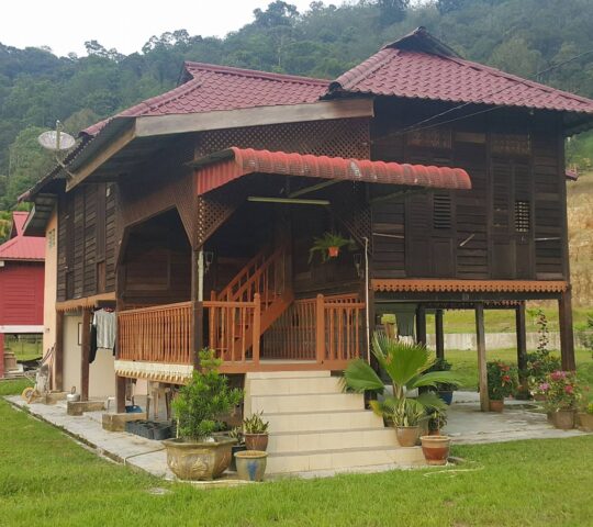 Homestay Kampung Relau