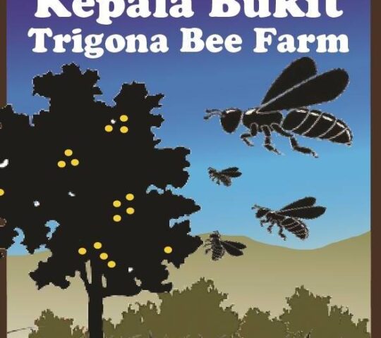 Kepala Bukit Trigona Bee Farm