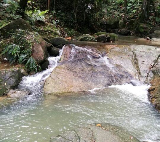 Ulu Paip Recreational Forest