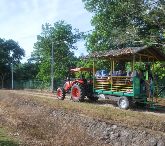 Mardi Fruit Research Centre