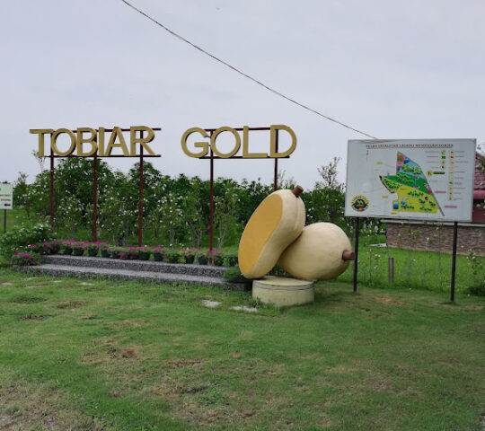 Ladang Mempelam Tobiar Gold