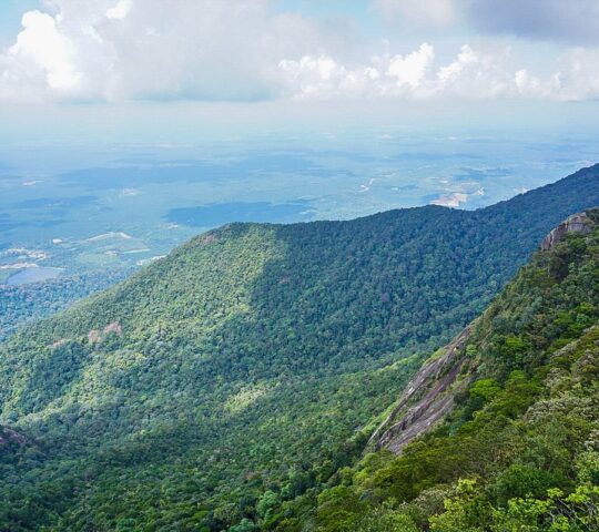 Gunung Bungsu Mountain Forest Reserve Reviews