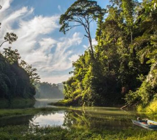 Tasik Pedu