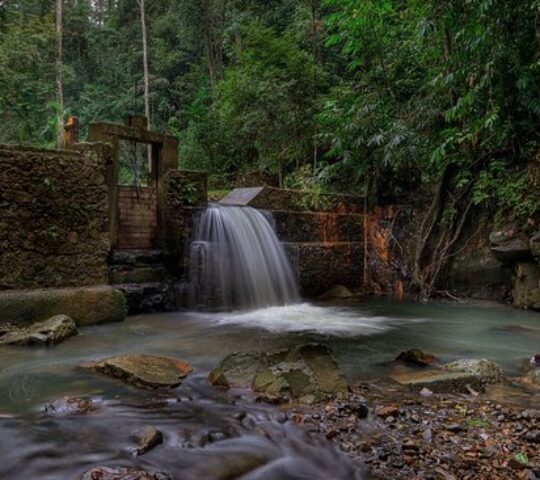 Bukit Wang Recreational Forest