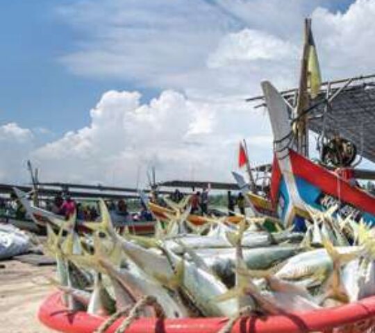 Tanjung Dawai Seaside Town