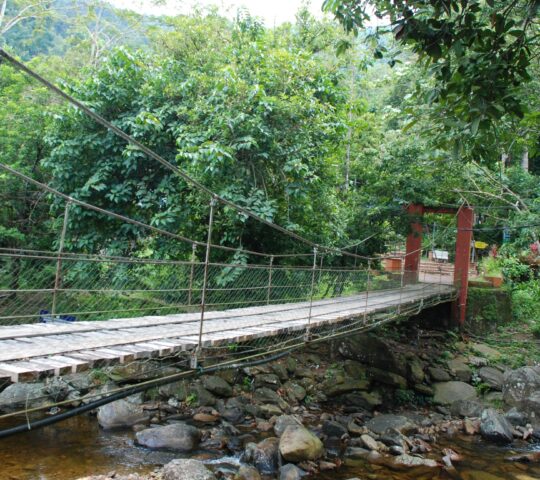 Hutan Lipur Titi Hayun