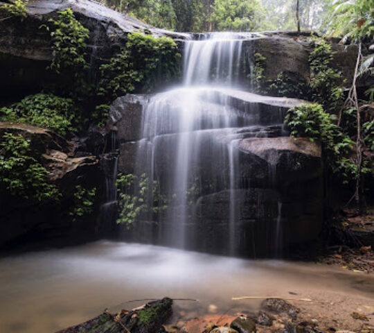 Tupah Recreational Forest